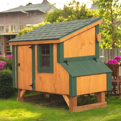 Small_Backyard_Chicken_Coop_in_brown_stain_with_green_trim_lean-to_model-in-backyard