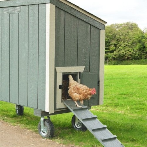 Small_Backyard_Chicken_Coop_side_view_with_wheel_add