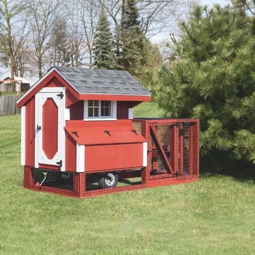 Small_Portable_Chicken_Coop_on_Wheels_in_red_and_white_front_view