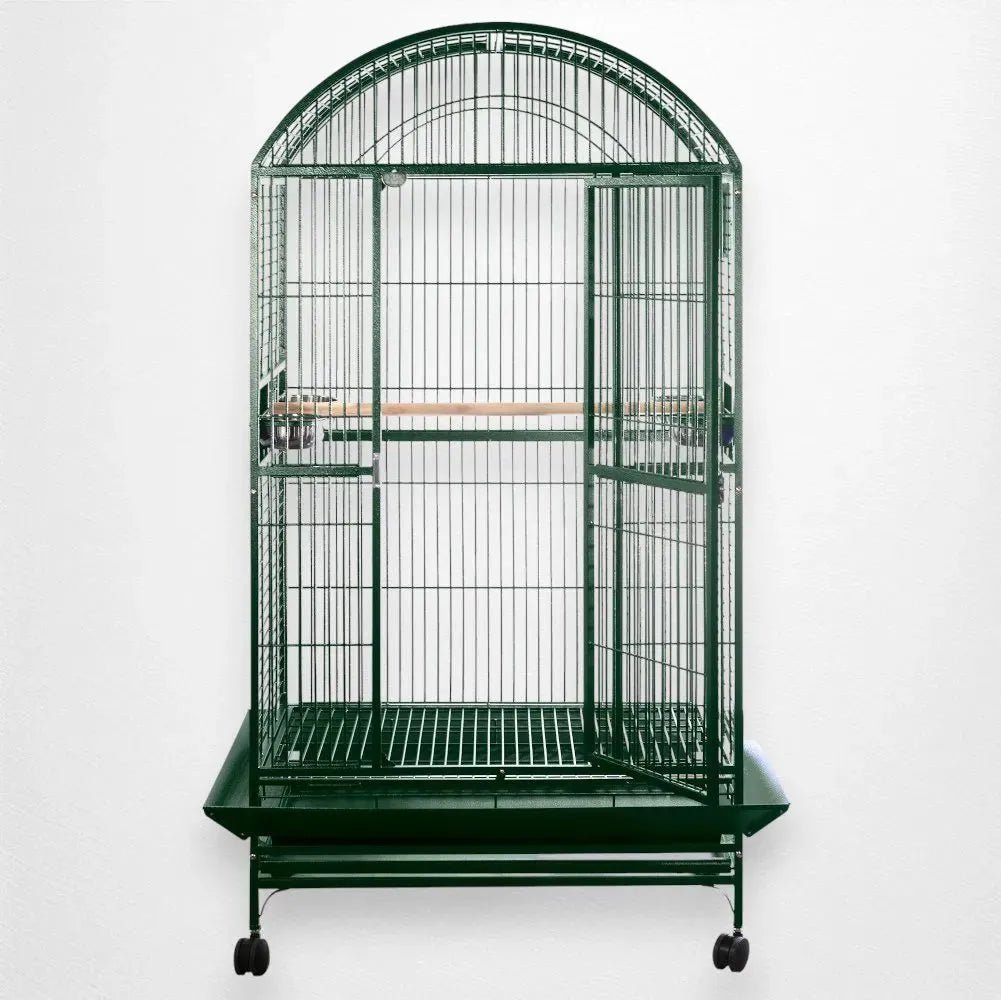 Exterior Window Bird Cage Dome Flights photo