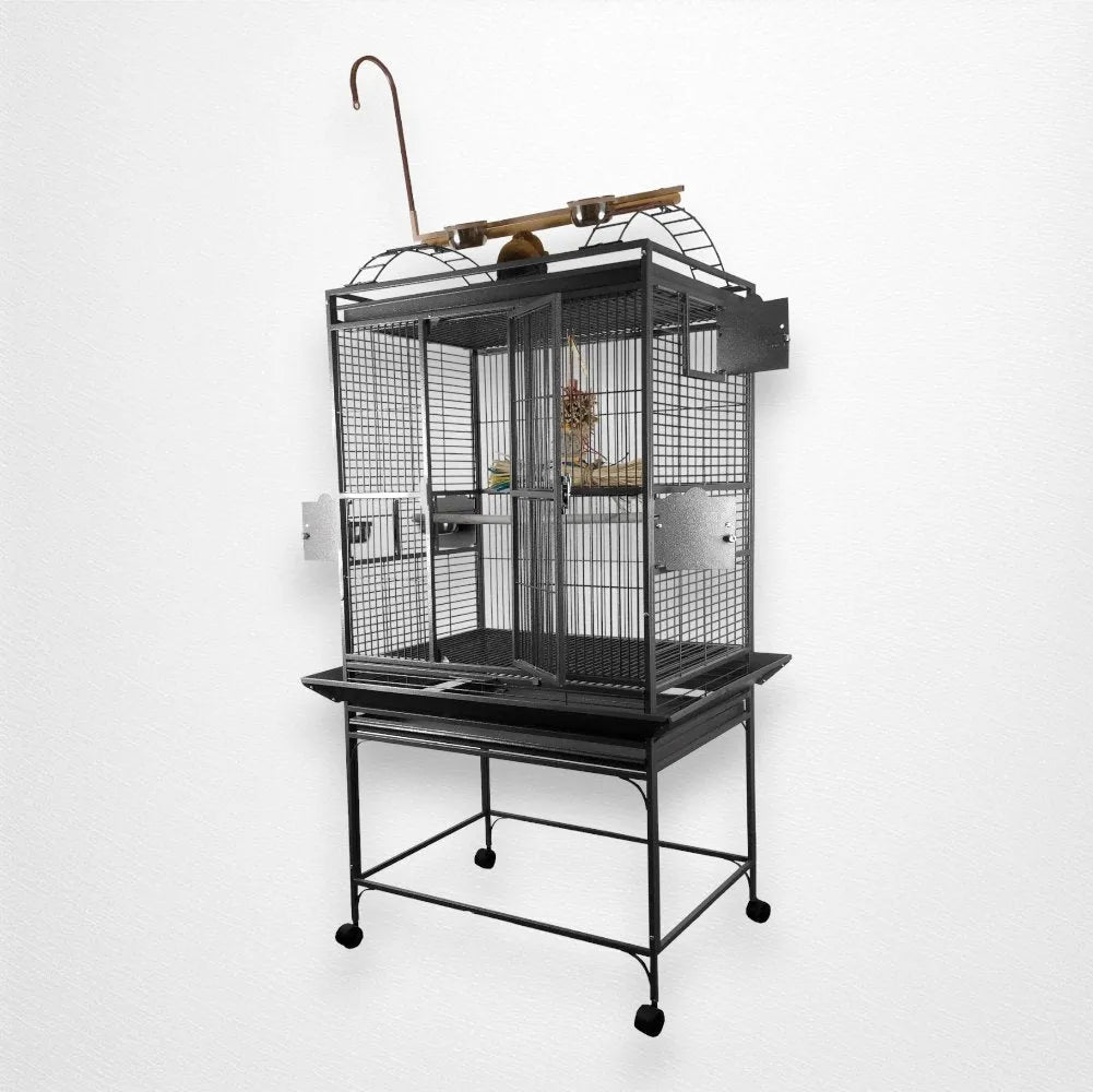 A&E Cage Co - Play Top Bird Cage, 32" X 23" – Quill & Roost