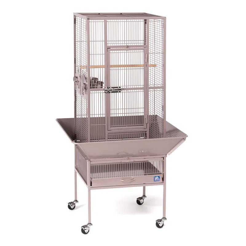 Hester 49'' Steel Flat Top Floor Bird Cage with Wheels - Quill & Roost