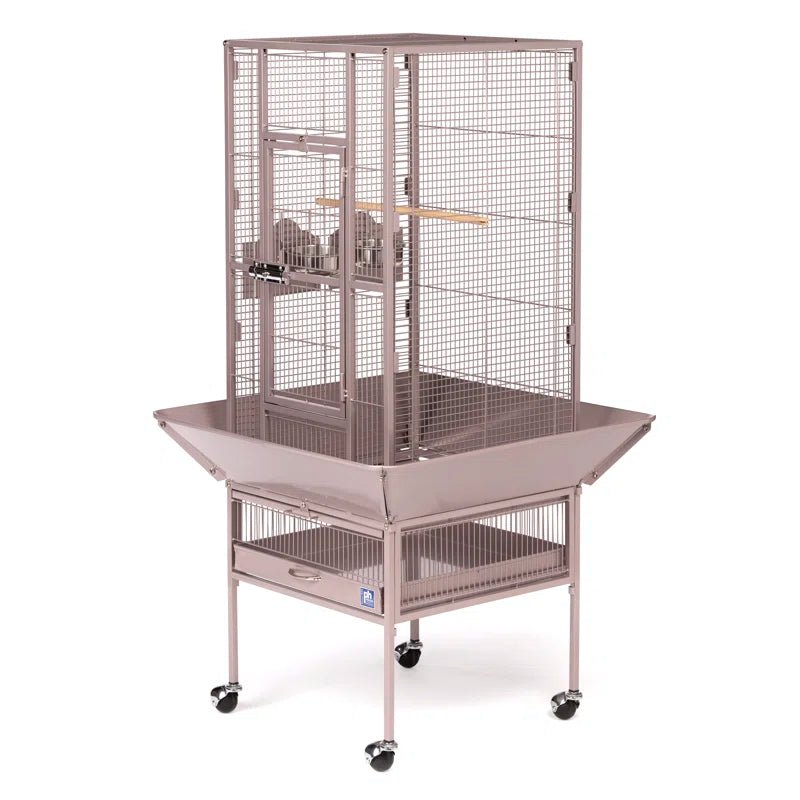 Hester 49'' Steel Flat Top Floor Bird Cage with Wheels - Quill & Roost