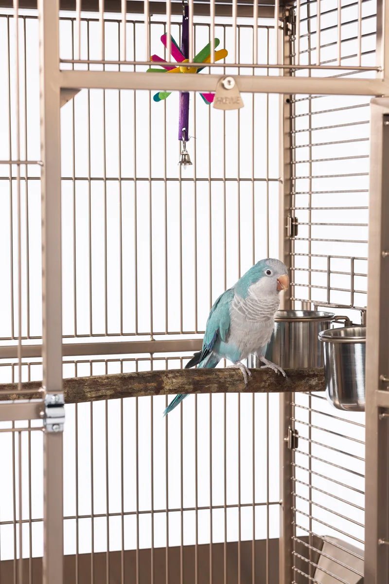 Maisie 58.5'' Victorian Top Floor Bird Cage with Wheels - Quill & Roost