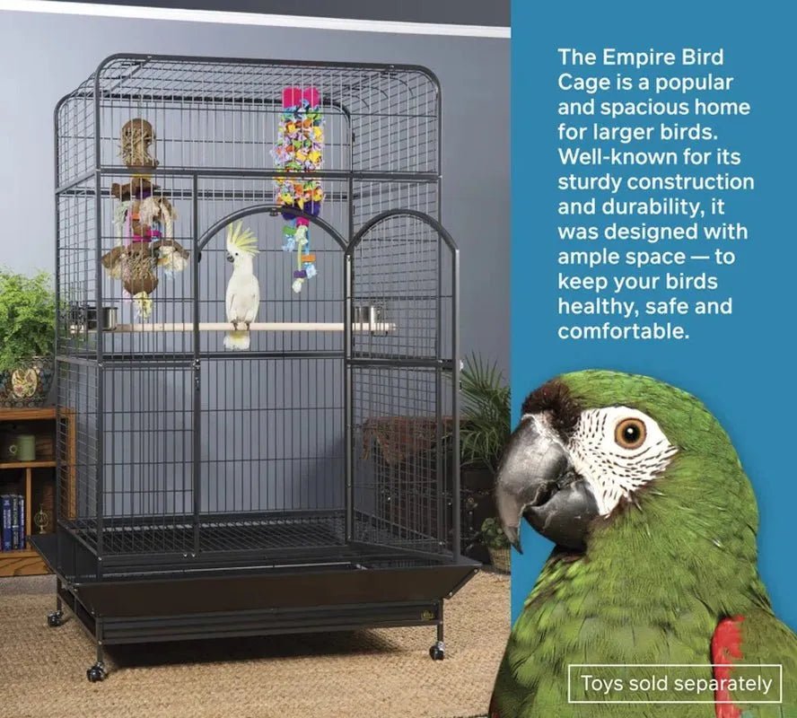 Prevue Empire Large Bird Cage with Flat Top, 46"x36"x78.2" - Quill & Roost
