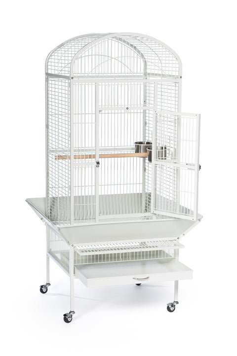 Prevue Medium Dome Top Bird Cage in Chalk White or Black, 24’’Lx22’’Wx59 1/2''H - Quill & Roost