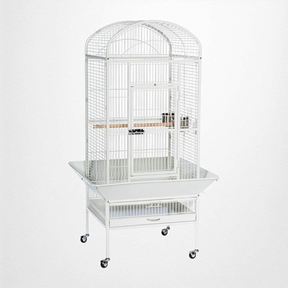 Prevue Medium Dome Top Bird Cage in Chalk White or Black, 24’’Lx22’’Wx59 1/2''H - Quill & Roost