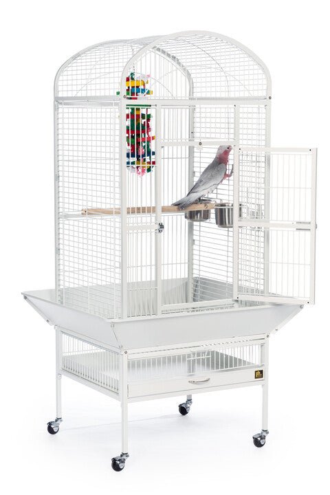 Prevue Medium Dome Top Bird Cage in Chalk White or Black, 24’’Lx22’’Wx59 1/2''H - Quill & Roost
