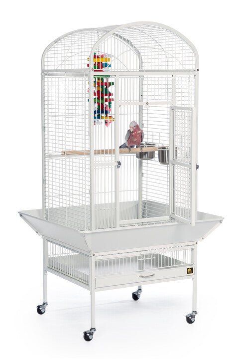 Prevue Medium Dome Top Bird Cage in Chalk White or Black, 24’’Lx22’’Wx59 1/2''H - Quill & Roost