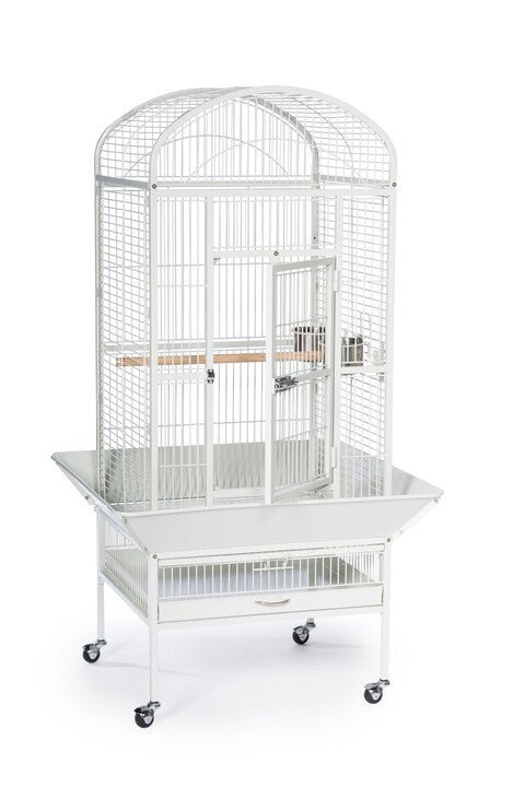 Prevue Medium Dome Top Bird Cage in Chalk White or Black, 24’’Lx22’’Wx59 1/2''H - Quill & Roost
