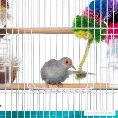Prevue Palm Beach Teardrop Roof Budgie Cage, Aqua & White - Quill & Roost