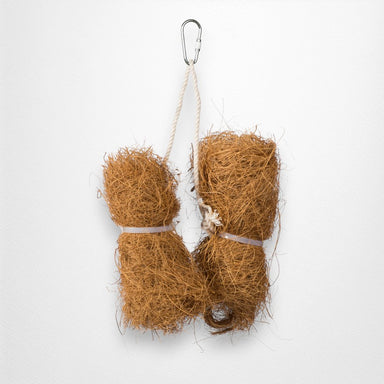 Prevue Tropical Teasers Coco Bird Bundles - Quill & Roost