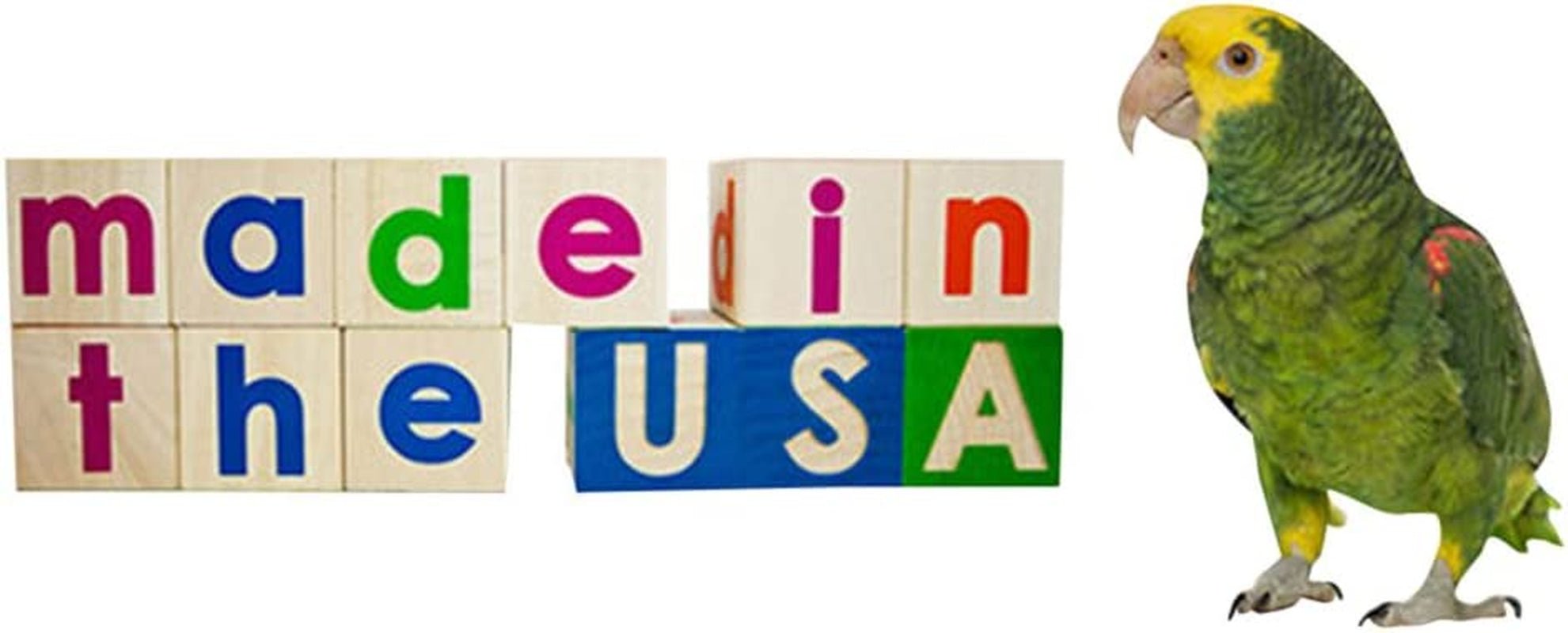 Round Parrot Shower Perch - Give Your Bird a Spa Day! - Quill & Roost