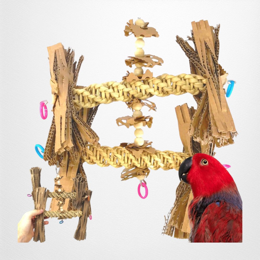 1557 Duo Natural Helix Parrot Toy - Quill & Roost