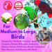 867 Big Stick Colorful Wood Chew Beak Toy for Parrots - Quill & Roost