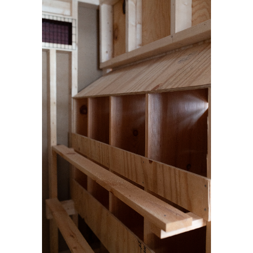 Double Chicken Coop with double run nesting box view interior A828CD