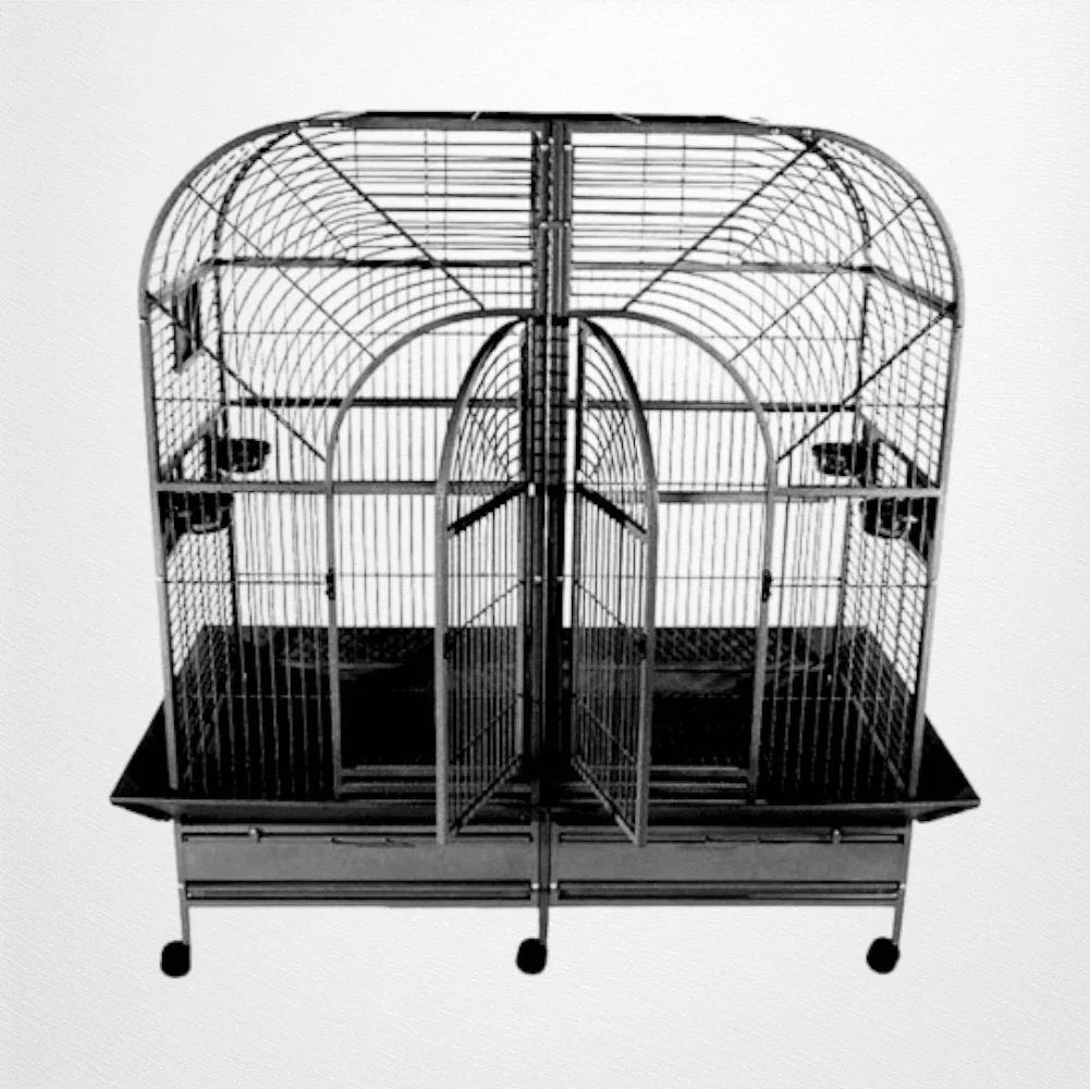 Varying Color Macaw Cage Showcase photo