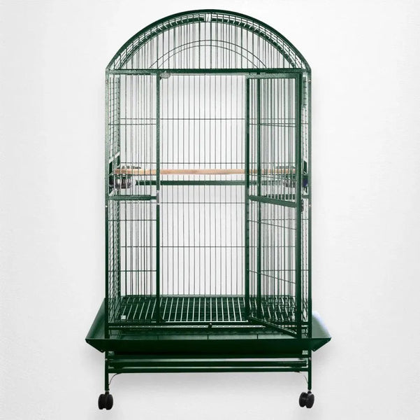 アングラドープ！ Cage ‎/ Weatherproof Amazon.com : A&E Cage 8003628 Green Play Top Bird Cage with