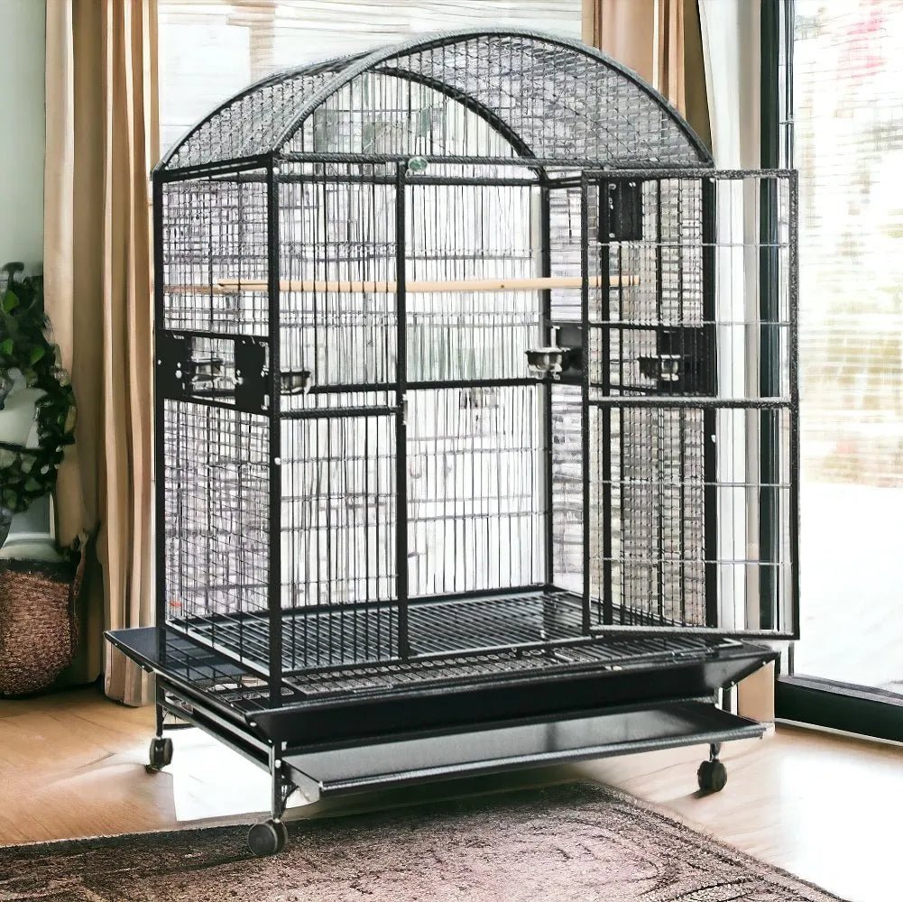 A and E Cage Co Large Dome Top Bird Cage for Macaws Cockatoos Quill and Roost