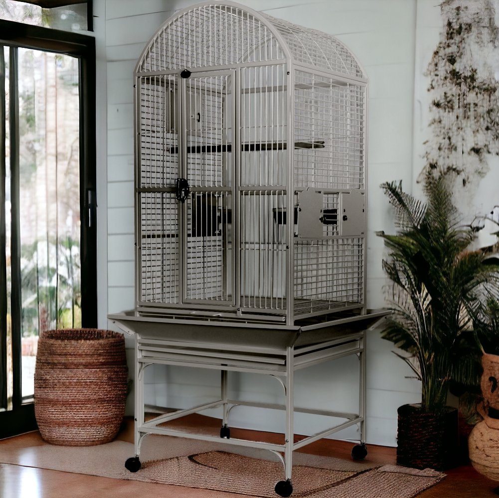 A & E Cage Co - Stainless Steel DomeTop Cage, 24"x22"x61" - Quill & Roost