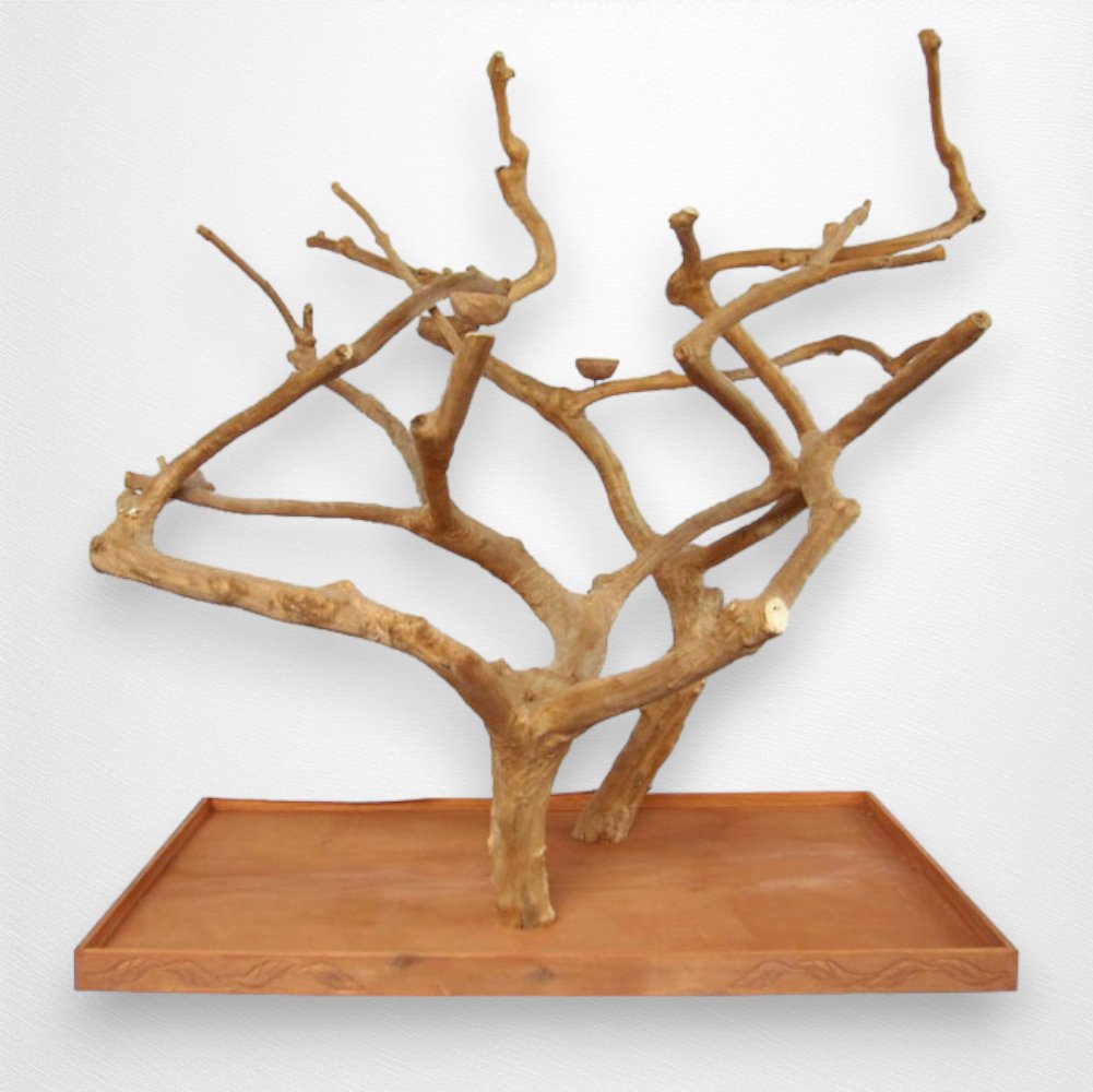 A & E Large Double Java Wood Tree - 73