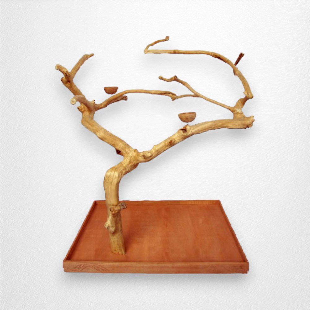 A & E Large Java Wood Tree - Quill & Roost
