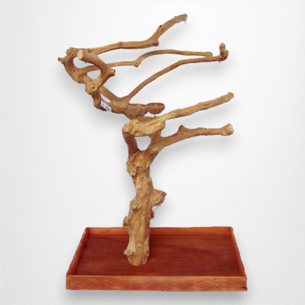 A & E Large Java Wood Tree, Boxed - Quill & Roost