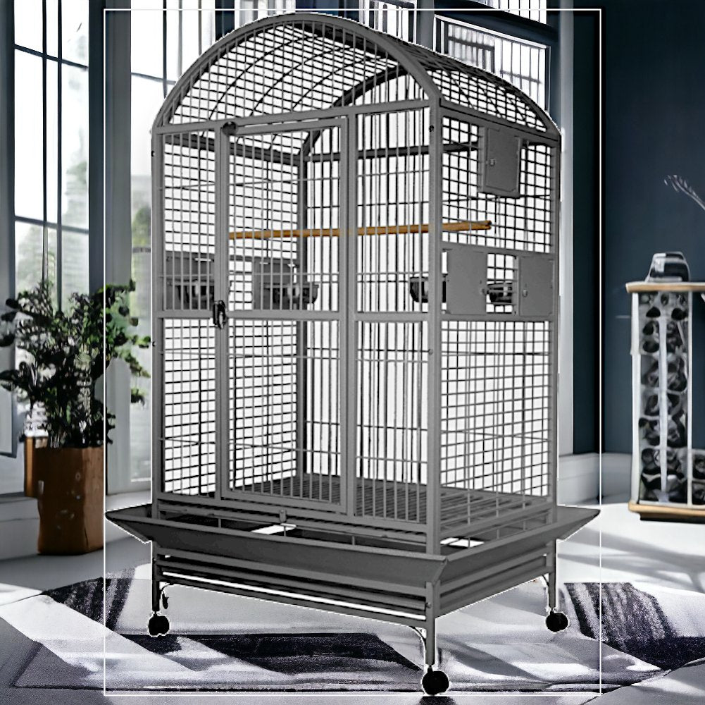 A and E Cage Co Large Macaw Dome Top Bird Cage Stainless Steel Quill and Roost