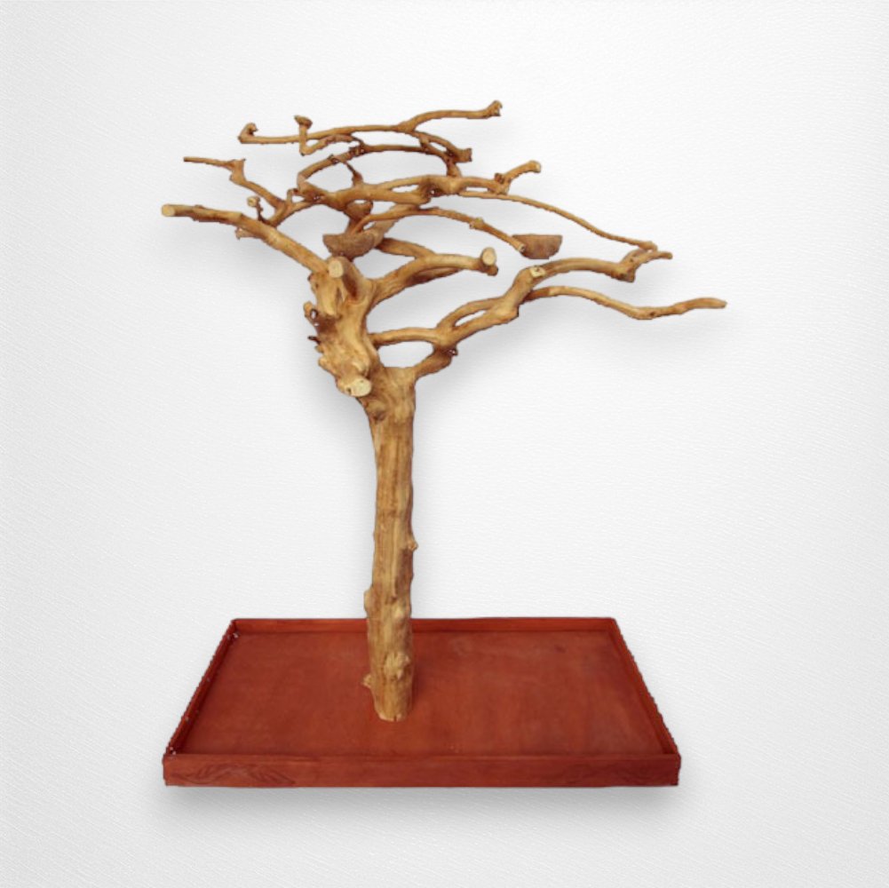 A & E Small Java Wood Tree - Quill & Roost