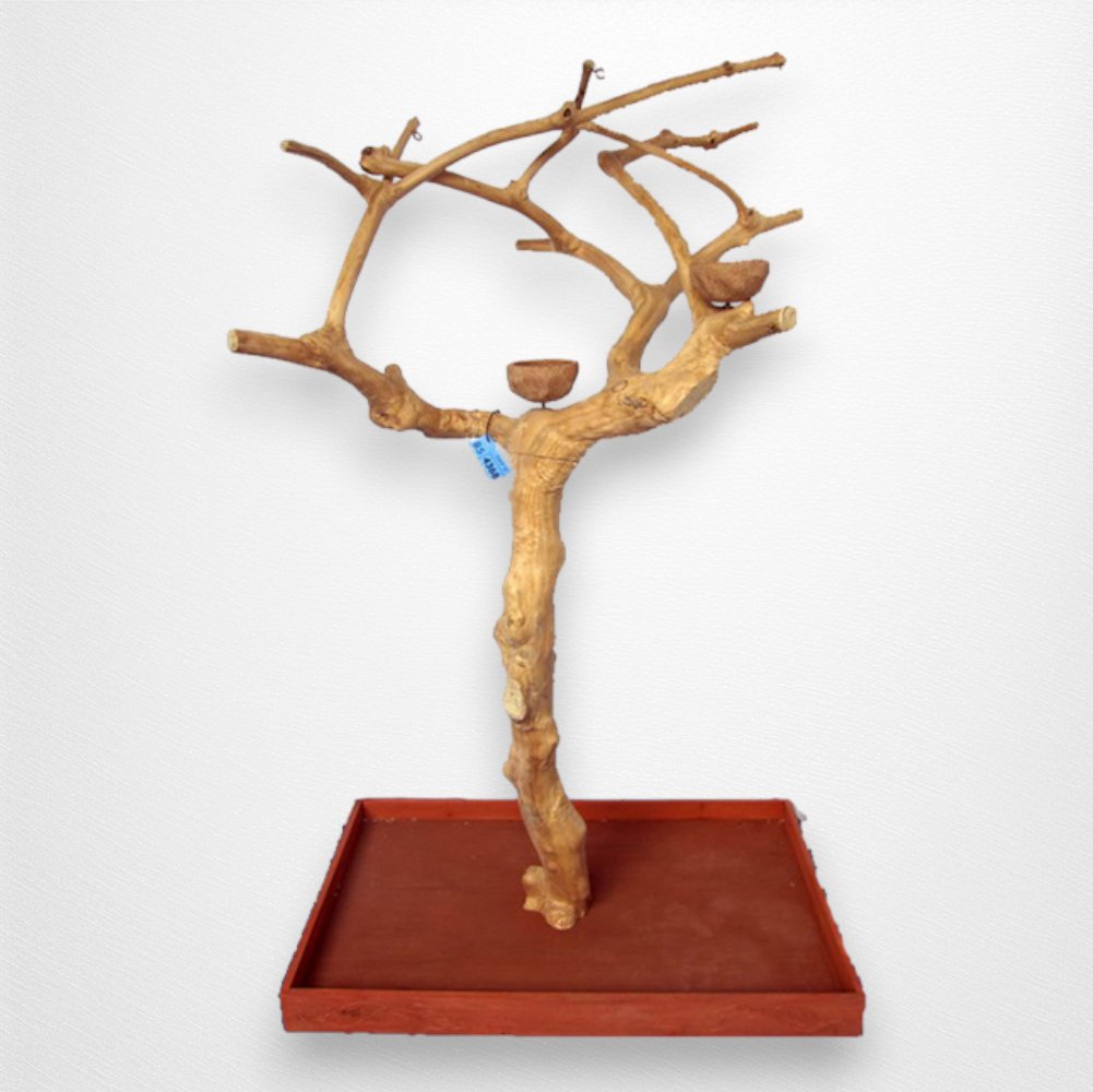 A & E Small Java Wood Tree, Boxed - Quill & Roost