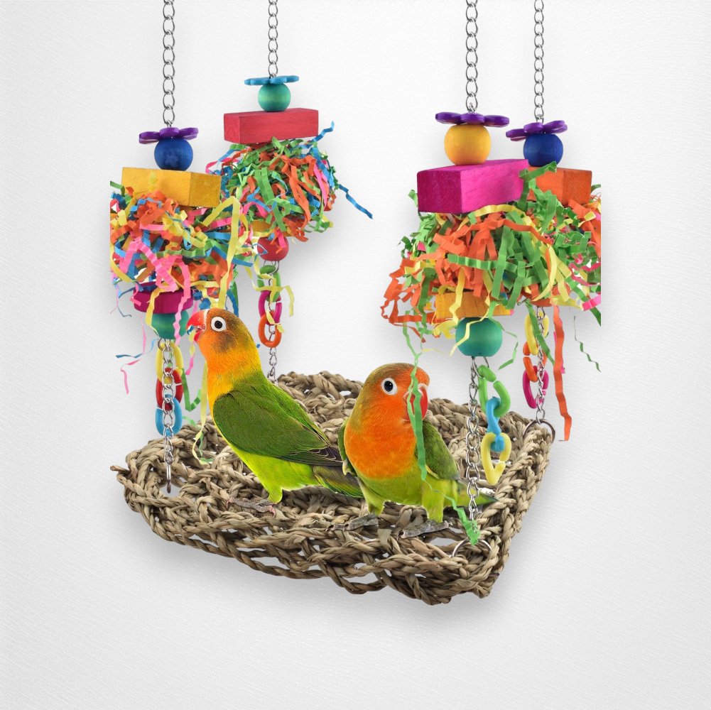 Colorful Swing Mat with Toys for Small Birds - Quill & Roost