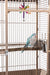 Maisie 58.5'' Victorian Top Floor Bird Cage with Wheels - Quill & Roost