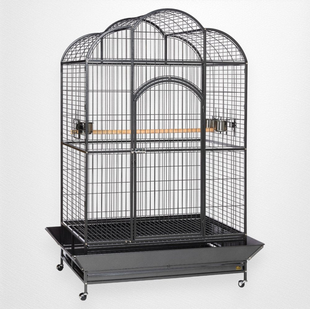 Prevue Silverado Macaw Bird Cage, 46"x36"x78 3/4" - Quill & Roost