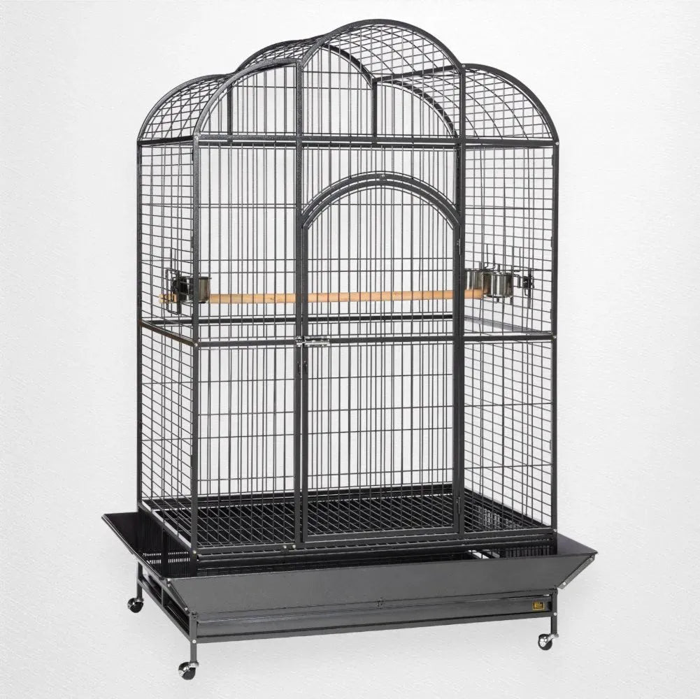 Beautiful view of Pre Built Macaw Cage Kits